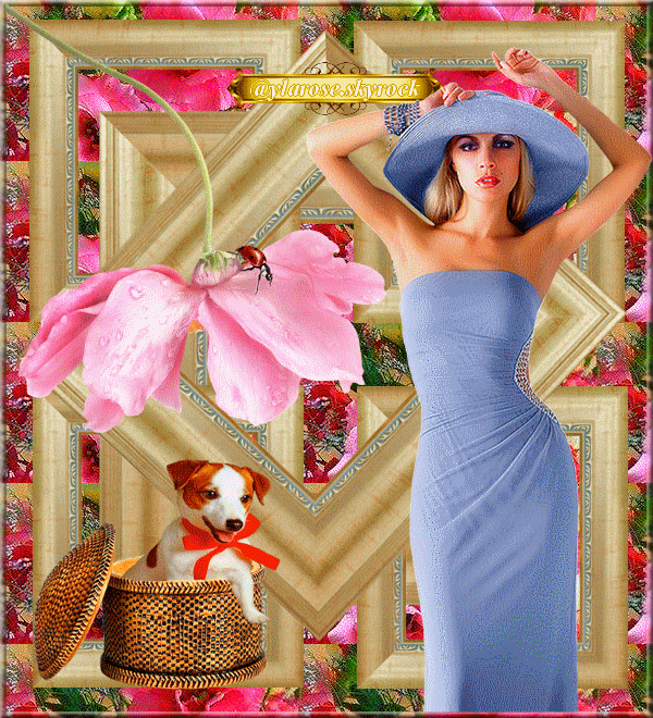 28b068bb.gif